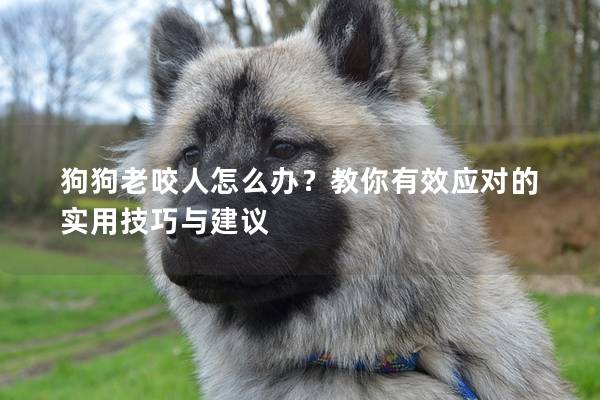 狗狗老咬人怎么辦？教你有效應(yīng)對的實用技巧與建議