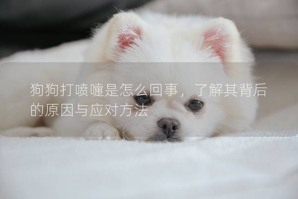 狗狗打噴嚏是怎么回事，了解其背后的原因與應對方法