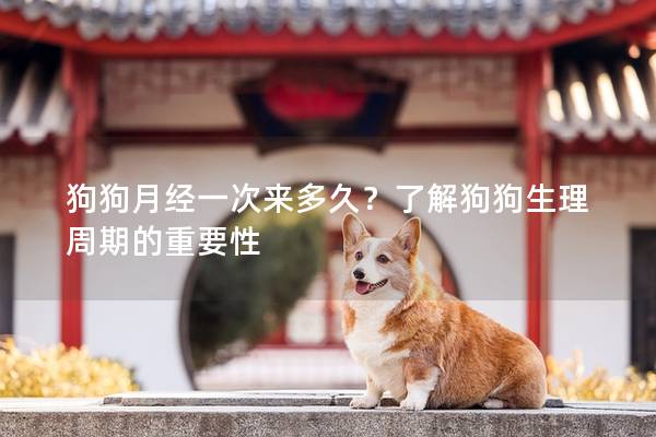 狗狗月經一次來多久？了解狗狗生理周期的重要性