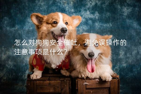 怎么對狗狗安全催吐，避免誤操作的注意事項(xiàng)是什么？