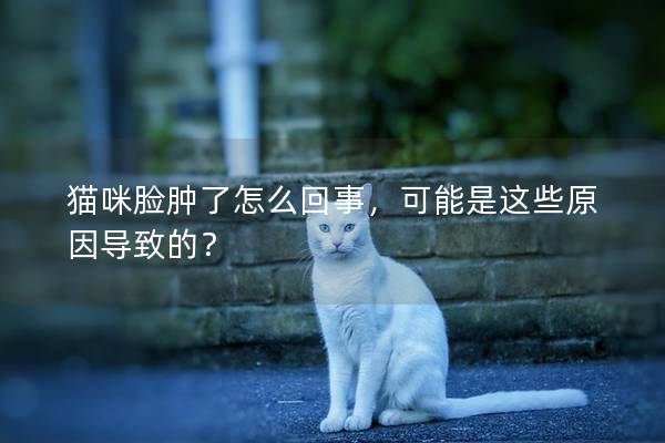 貓咪臉腫了怎么回事，可能是這些原因?qū)е碌模?></em><p>貓咪臉腫了怎么回事，可能是這些原因?qū)е碌模?/p><span>2024-11-26</span></a></li><li><a title=