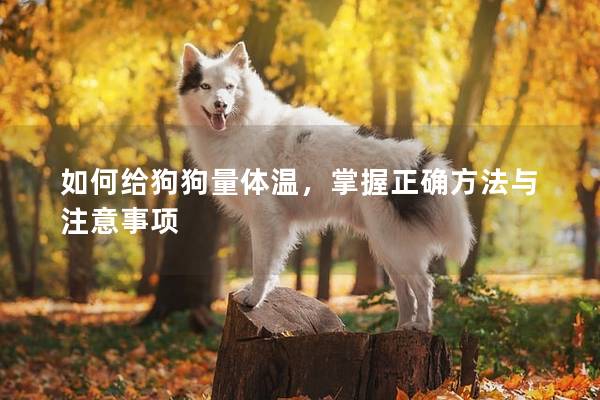如何給狗狗量體溫，掌握正確方法與注意事項