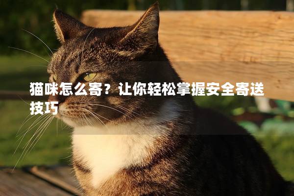 貓咪怎么寄？讓你輕松掌握安全寄送技巧