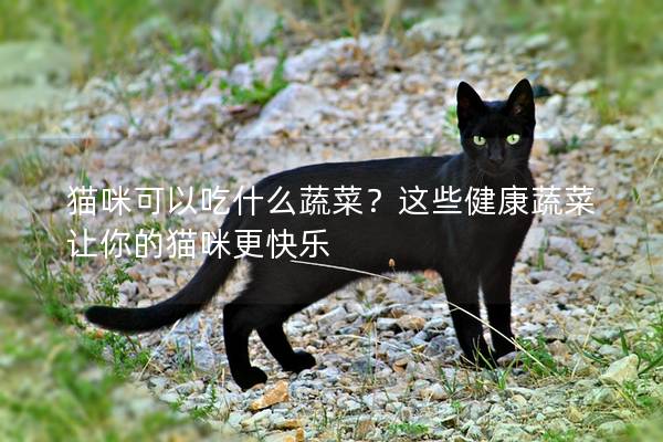貓咪可以吃什么蔬菜？這些健康蔬菜讓你的貓咪更快樂