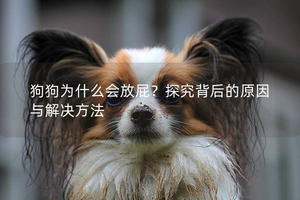狗狗為什么會放屁？探究背后的原因與解決方法