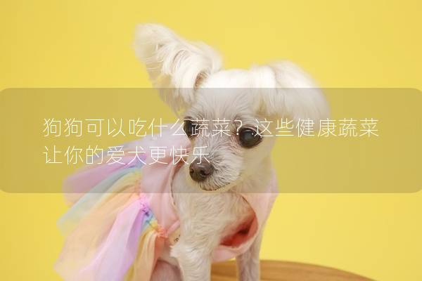 狗狗可以吃什么蔬菜?這些健康蔬菜讓你的愛犬更快樂 狗狗可以吃什么蔬菜?這些健康蔬菜讓你的愛犬更快樂