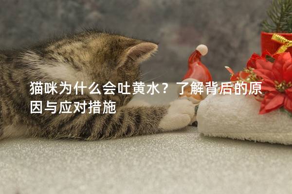 貓咪為什么會吐黃水？了解背后的原因與應對措施