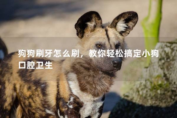 狗狗刷牙怎么刷，教你輕松搞定小狗口腔衛生