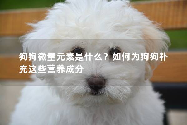 狗狗微量元素是什么？如何為狗狗補充這些營養成分