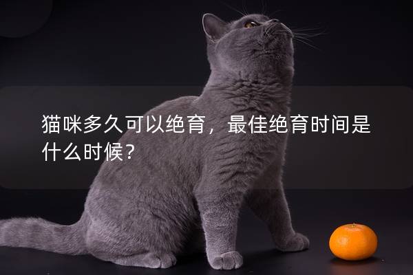 貓咪多久可以絕育，最佳絕育時間是什么時候？