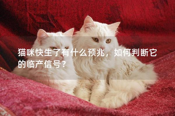 貓咪快生了有什么預兆，如何判斷它的臨產信號？