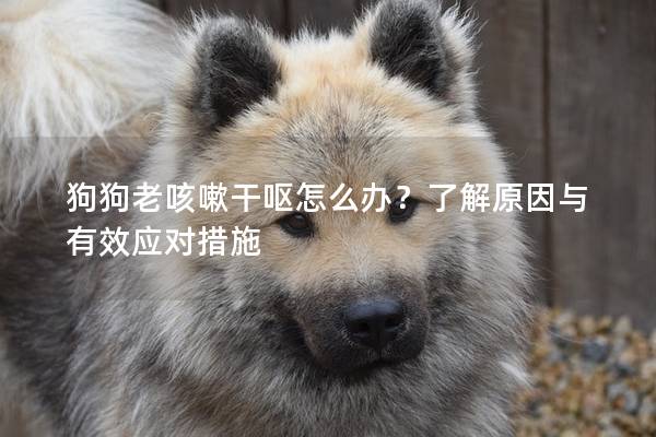 狗狗老咳嗽干嘔怎么辦？了解原因與有效應對措施