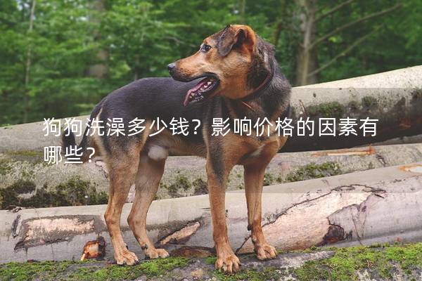 狗狗洗澡多少錢(qián)?影響價(jià)格的因素有哪些? 狗狗洗澡多少錢(qián)?影響價(jià)格的因素有哪些?