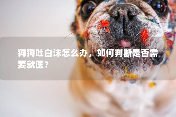 狗狗吐白沫怎么辦，如何判斷是否需要就醫？