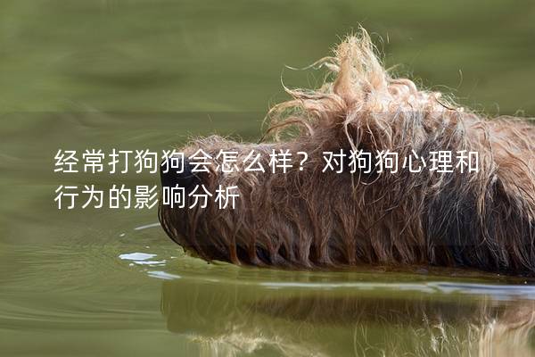 經(jīng)常打狗狗會怎么樣？對狗狗心理和行為的影響分析