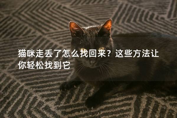 貓咪走丟了怎么找回來？這些方法讓你輕松找到它
