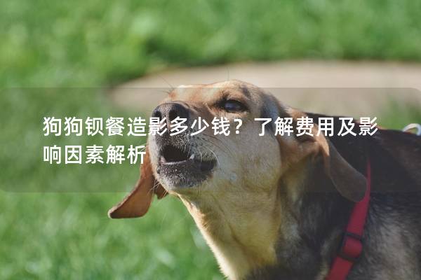 狗狗鋇餐造影多少錢？了解費用及影響因素解析
