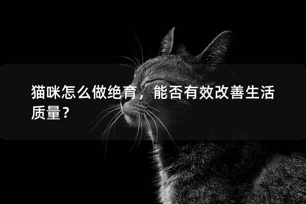 貓咪怎么做絕育，能否有效改善生活質量？
