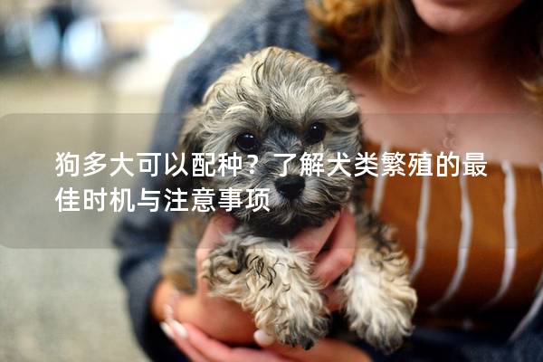 狗多大可以配種？了解犬類繁殖的最佳時機與注意事項