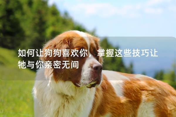 如何讓狗狗喜歡你，掌握這些技巧讓牠與你親密無間