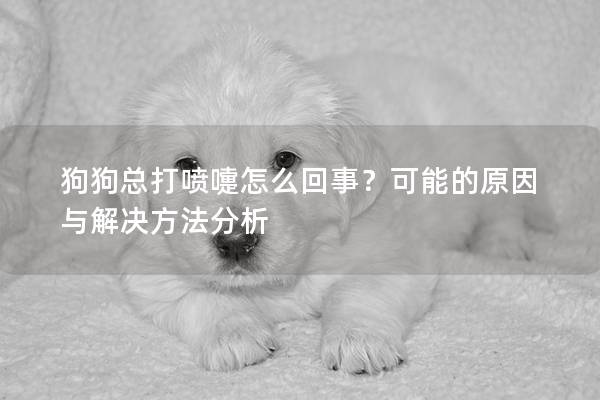 狗狗總打噴嚏怎么回事?可能的原因與解決方法分析 狗狗總打噴嚏怎么回事?可能的原因與解決方法分析