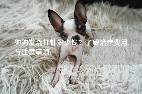 狗狗發燒打針多少錢？了解治療費用與注意事項