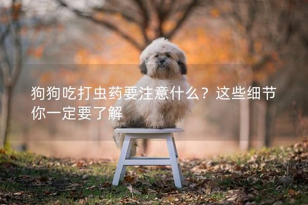狗狗吃打蟲藥要注意什么？這些細(xì)節(jié)你一定要了解