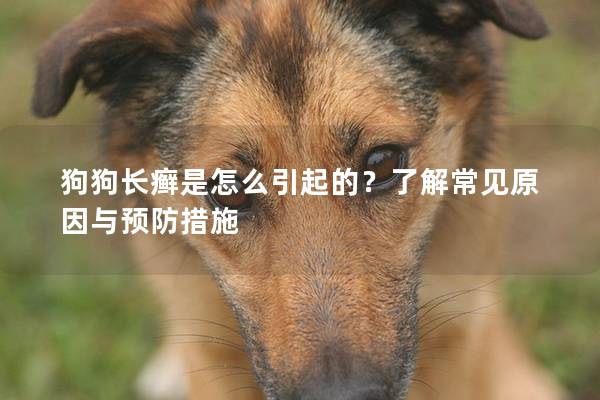 狗狗長癬是怎么引起的？了解常見原因與預防措施