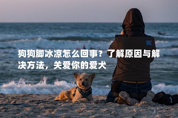 狗狗腳冰涼怎么回事？了解原因與解決方法，關愛你的愛犬