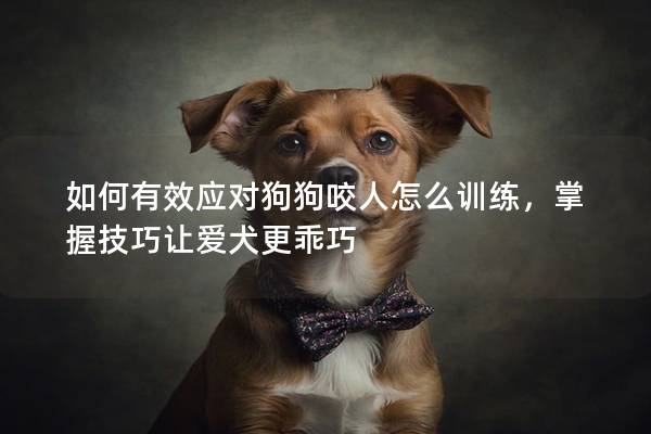 如何有效應對狗狗咬人怎么訓練，掌握技巧讓愛犬更乖巧
