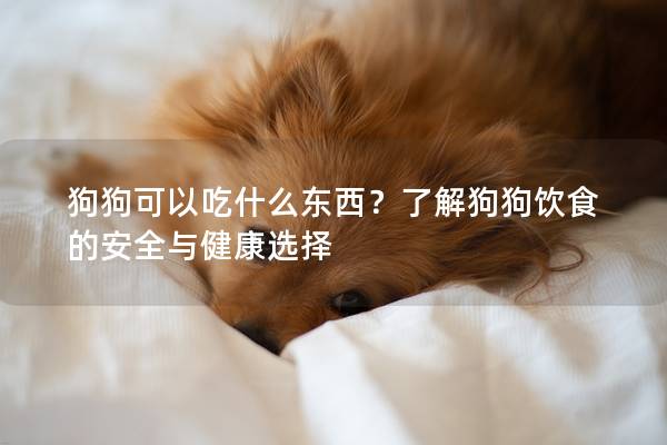 狗狗可以吃什么東西？了解狗狗飲食的安全與健康選擇