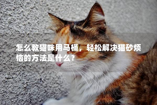 怎么教貓咪用馬桶，輕松解決貓砂煩惱的方法是什么？