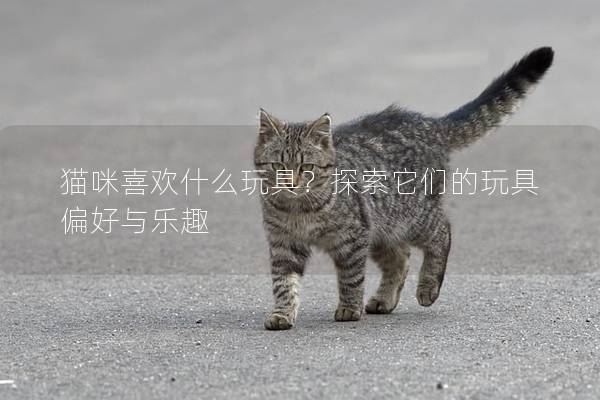 貓咪喜歡什么玩具？探索它們的玩具偏好與樂趣