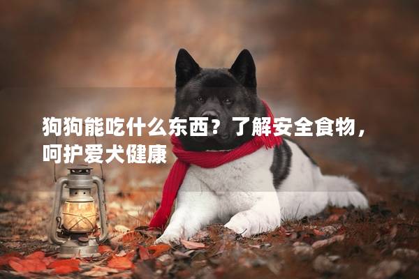 狗狗能吃什么東西?了解安全食物,呵護愛犬健康 狗狗能吃什么東西?了解安全食物,呵護愛犬健康
