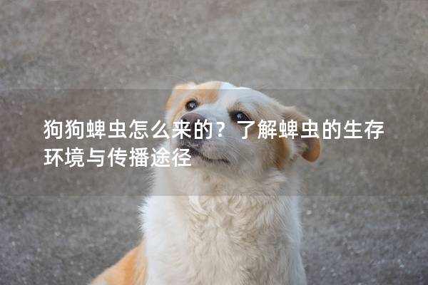 狗狗蜱蟲怎么來的？了解蜱蟲的生存環(huán)境與傳播途徑