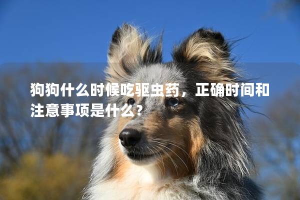 狗狗什么時(shí)候吃驅(qū)蟲藥，正確時(shí)間和注意事項(xiàng)是什么？
