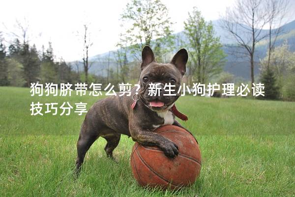 狗狗臍帶怎么剪？新生小狗護理必讀技巧分享