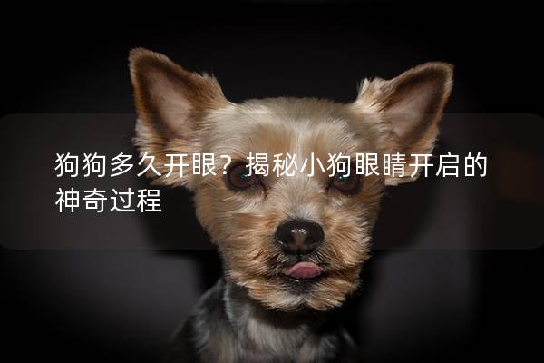 狗狗多久開眼？揭秘小狗眼睛開啟的神奇過程