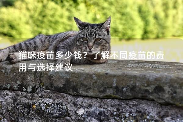 貓咪疫苗多少錢？了解不同疫苗的費(fèi)用與選擇建議