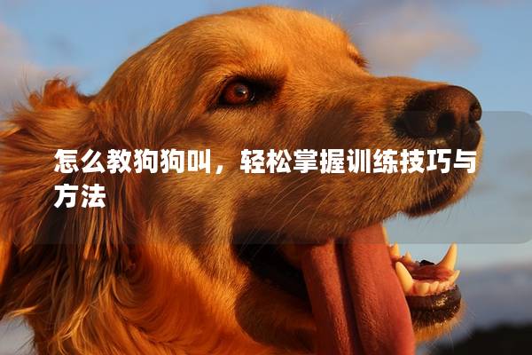 怎么教狗狗叫，輕松掌握訓練技巧與方法