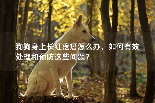 狗狗身上長紅疙瘩怎么辦，如何有效處理和預防這些問題？