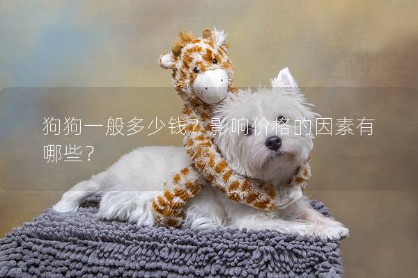 狗狗一般多少錢?影響價格的因素有哪些? 狗狗一般多少錢?影響價格的因素有哪些?
