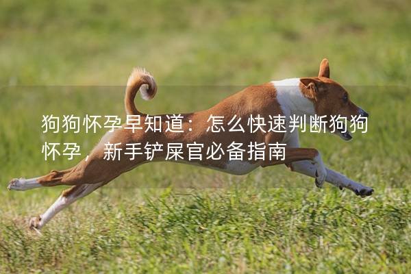 狗狗懷孕早知道:怎么快速判斷狗狗懷孕,新手鏟屎官必備指南 狗狗懷孕早知道:怎么快速判斷狗狗懷孕,新手鏟屎官必備指南