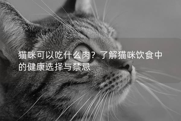 貓咪可以吃什么肉？了解貓咪飲食中的健康選擇與禁忌