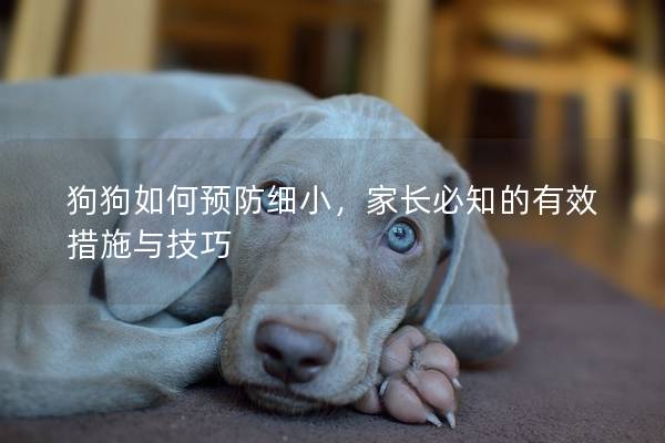 狗狗如何預(yù)防細(xì)小，家長(zhǎng)必知的有效措施與技巧