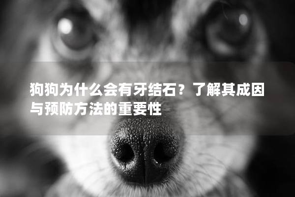 狗狗為什么會(huì)有牙結(jié)石？了解其成因與預(yù)防方法的重要性
