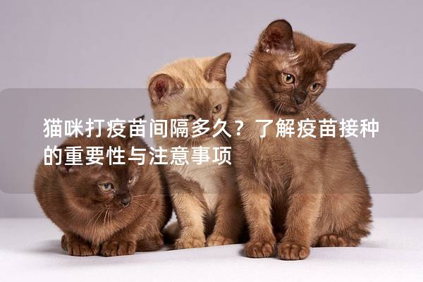 貓咪打疫苗間隔多久？了解疫苗接種的重要性與注意事項