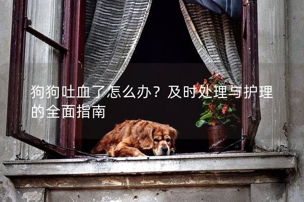 狗狗吐血了怎么辦？及時處理與護(hù)理的全面指南