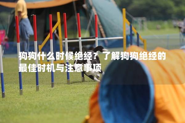 狗狗什么時候絕經？了解狗狗絕經的最佳時機與注意事項