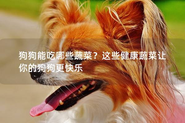 狗狗能吃哪些蔬菜？這些健康蔬菜讓你的狗狗更快樂